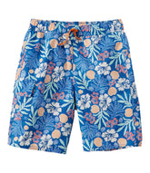 Blue Water Hibiscus,8