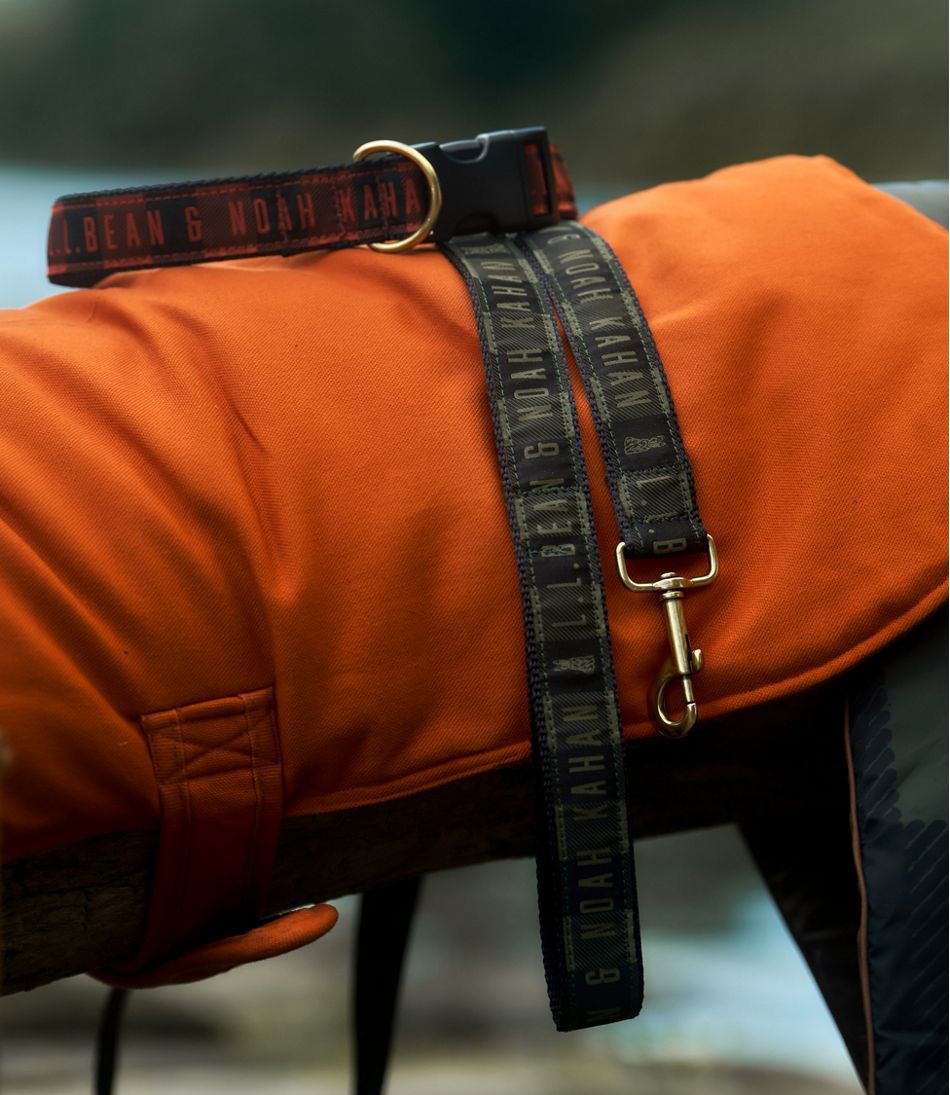 L.L.Bean For Sale | & Noah Kahan Reversible Field Coat for Dogs